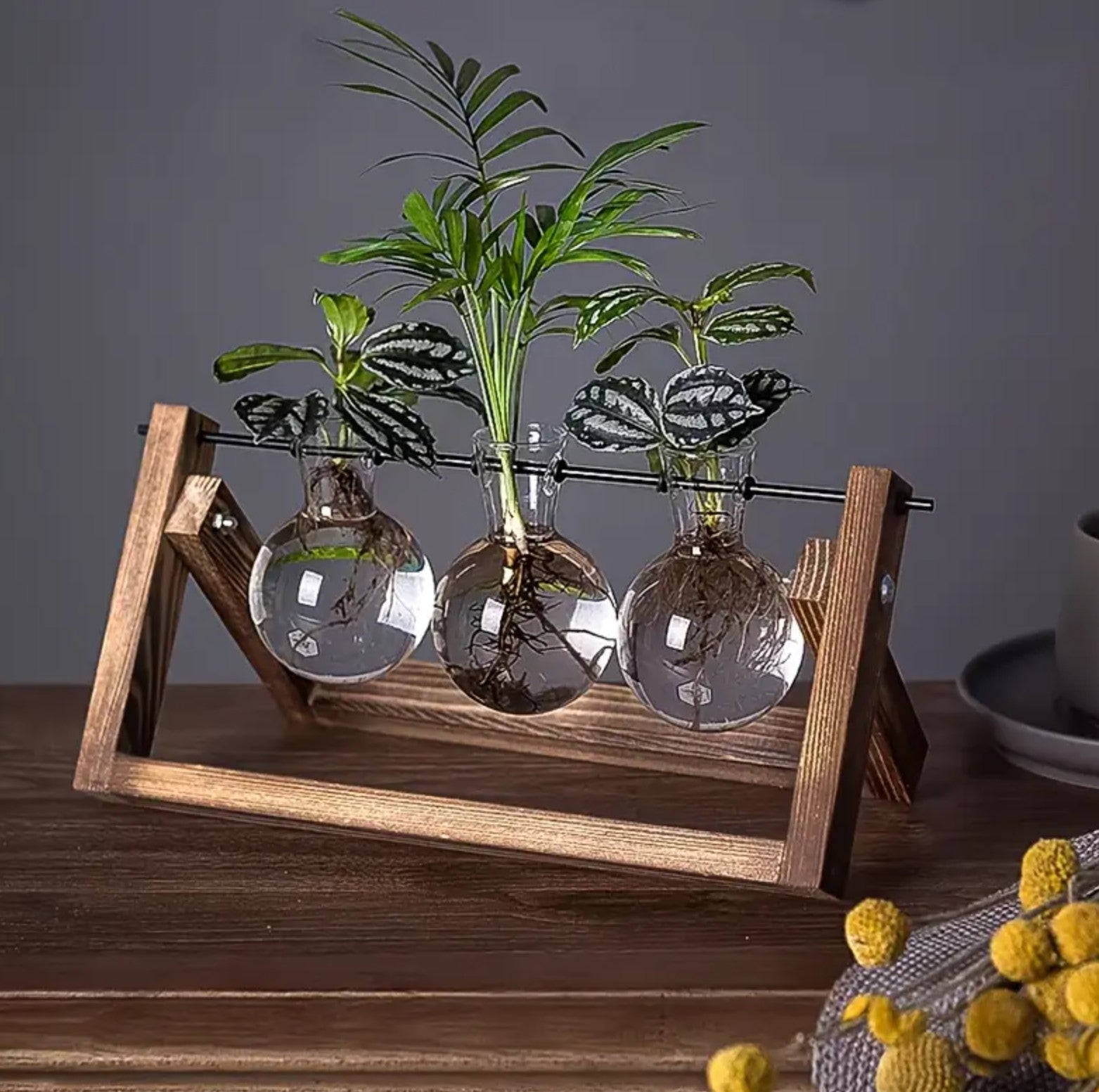 Vaza hidroponica cu 3 vase din sticla, Zola®, suport din lemn, pliabil, dimensiuni suport 28x13.5 cm Vaza hidroponica cu 3 vase din sticla, Zola®, suport din lemn, pliabil, dimensiuni suport 28x13.5 cm